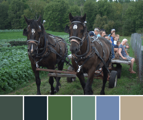 hay ride color palette north branch farm
