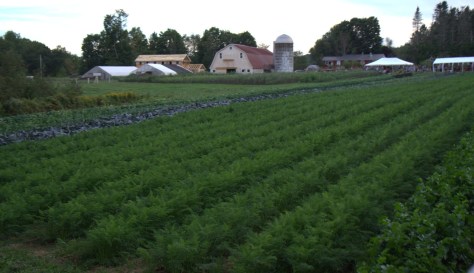 north branch farm pig roast maine