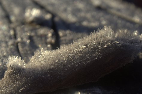 frost up close and personal