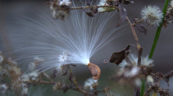 Color Inspiration Thursday {62}