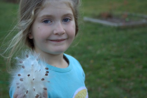 finding the perfect seed pod