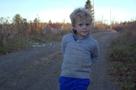 on our way to apple picking after spreading milkweed seeds far and wide