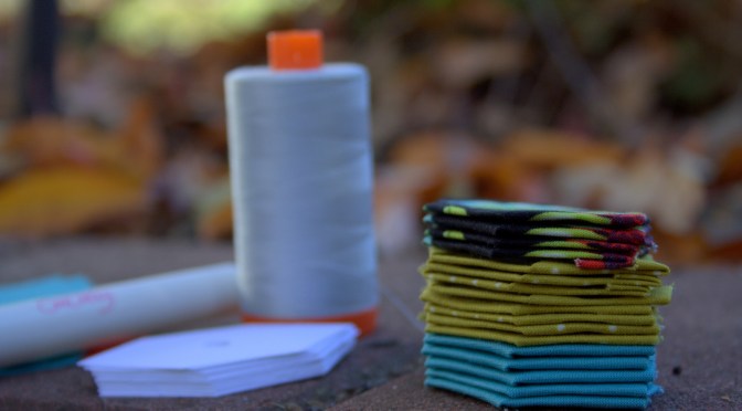 Surprise Success and Stitching on the Road