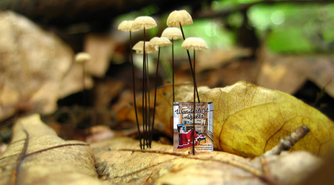 Into the Woods with Wanderlust Quilts {Book Review & Giveaway}