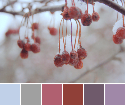 winter red color inspiration palette