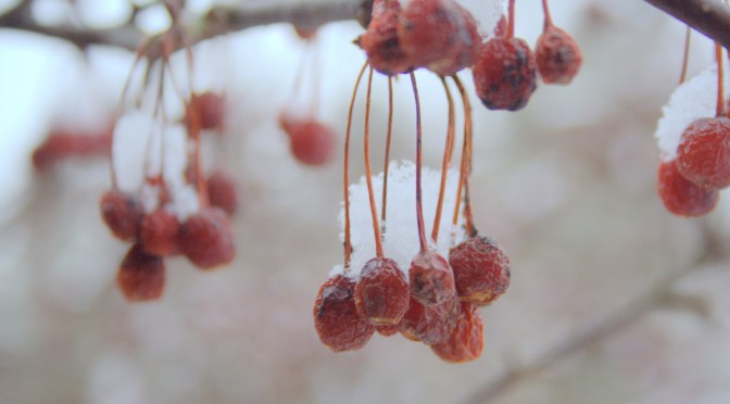 Color Inspiration Thursday {63}