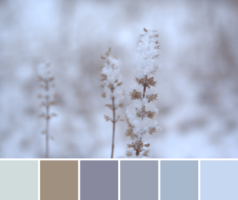 winter color inspiration palette