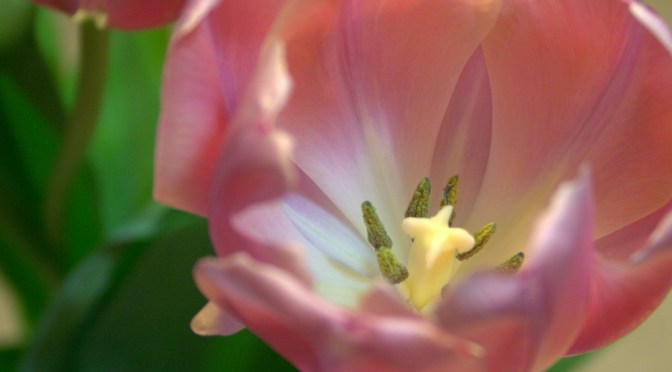 Color Inspiration Thursday {65}