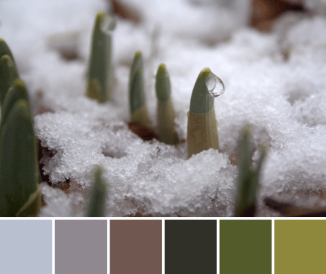daffodil sprouts color palette