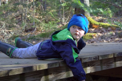 mt battie family hike
