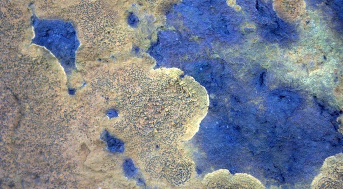 Color Inspiration Thursday {67}