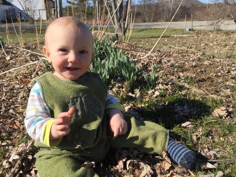finn for scale spring flowers