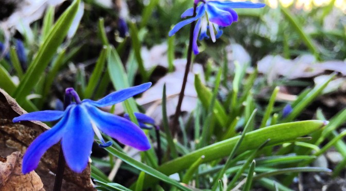 Color Inspiration Thursday {68}