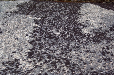 black lichen two steps back