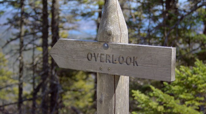 Color Inspiration Thursday {69}