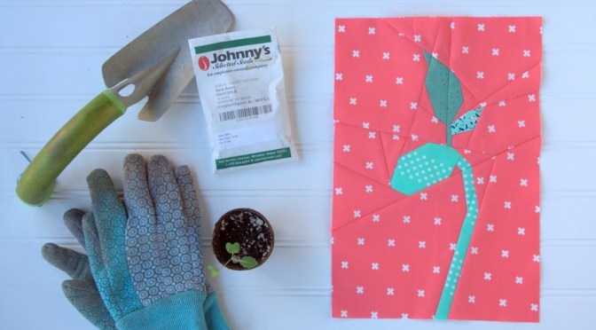 Bean Sprout: FPP Pattern Release