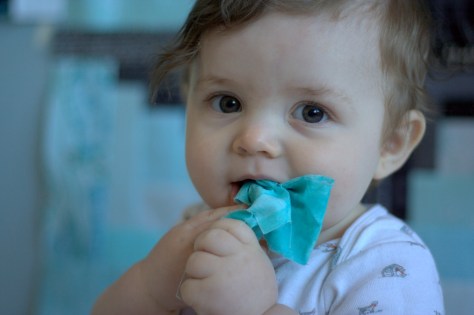 finn milestone quilt 11 months