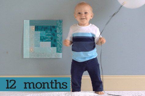 Finn 12 months milestone quilt