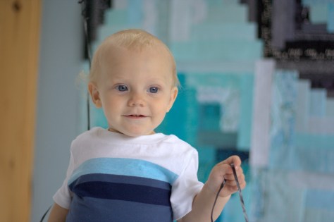 finn milestone quilt 12 months full quilt