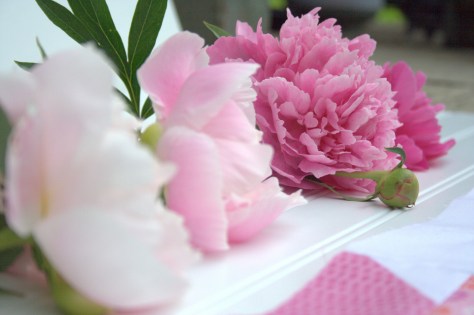 sizzix geese crossing tutorial value gradient peonies