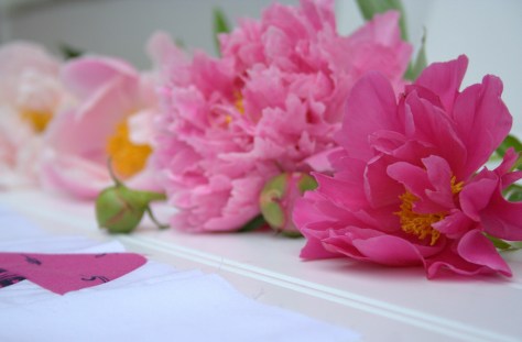 sizzix geese crossing tutorial peonies value play