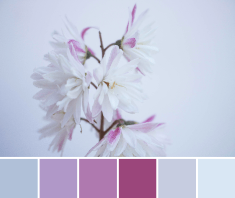 white snuck pink color palette