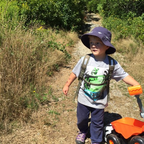 Robot Dinosaur on the trail