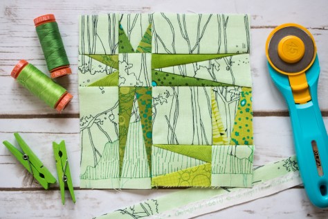 starry sky block by a persevering mom