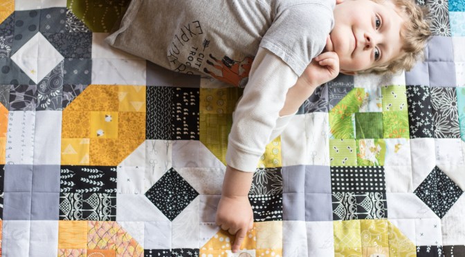 Eye Spy Picnic Plaid Flimsy Finish