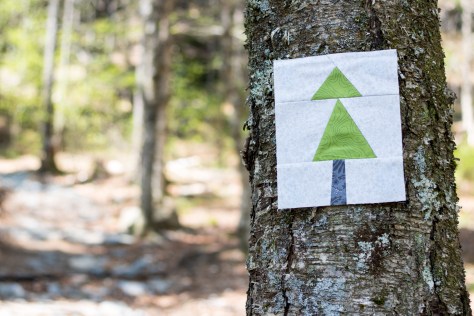 blue hill mountain summer adventure quilt