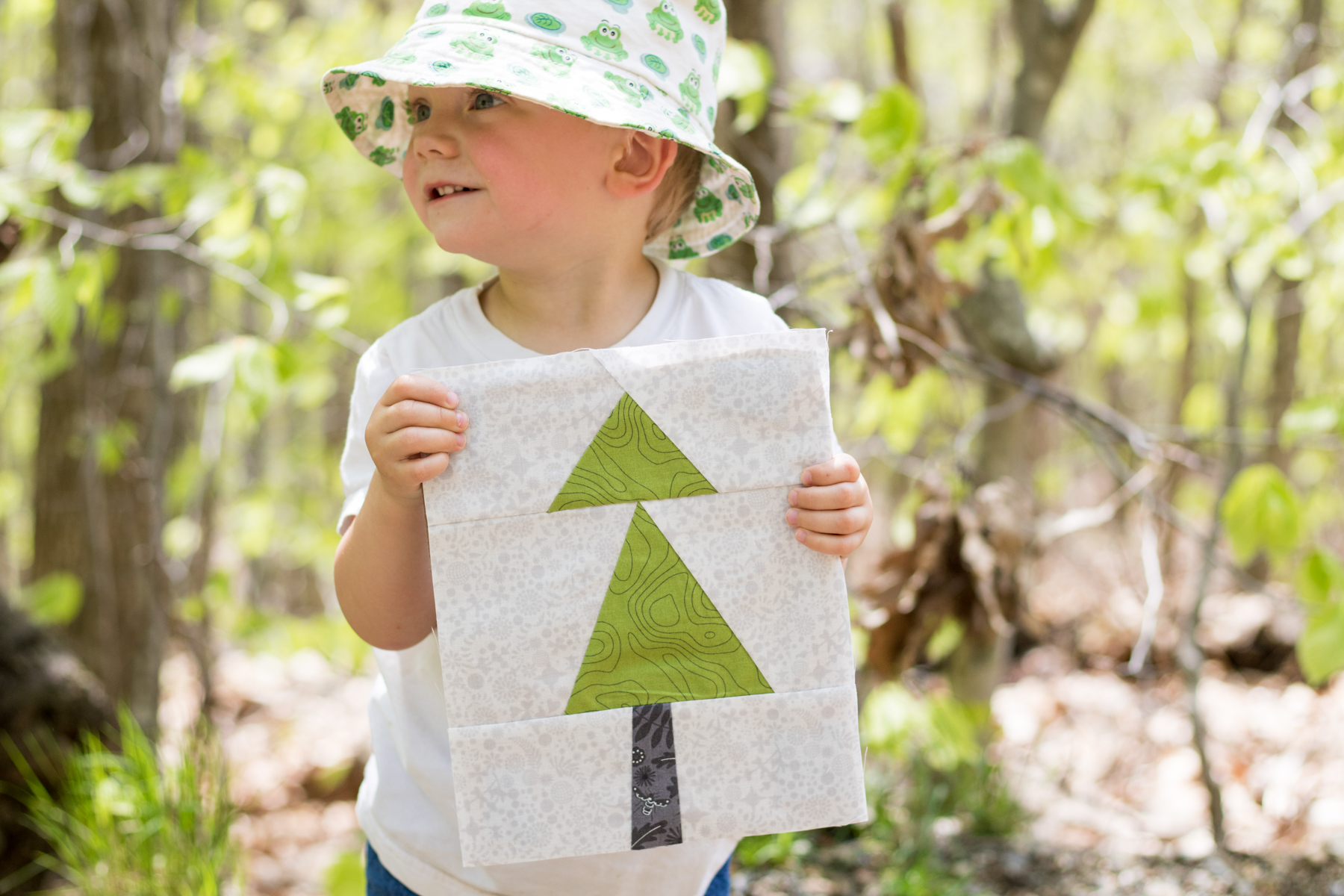 blue hill mountain summer adventure quilt