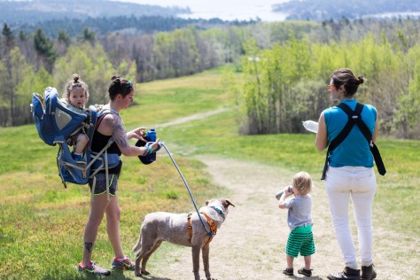 blue hill mountain summer adventure quilt