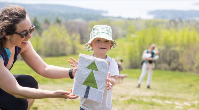 Summer Adventure Quilt Beginnings