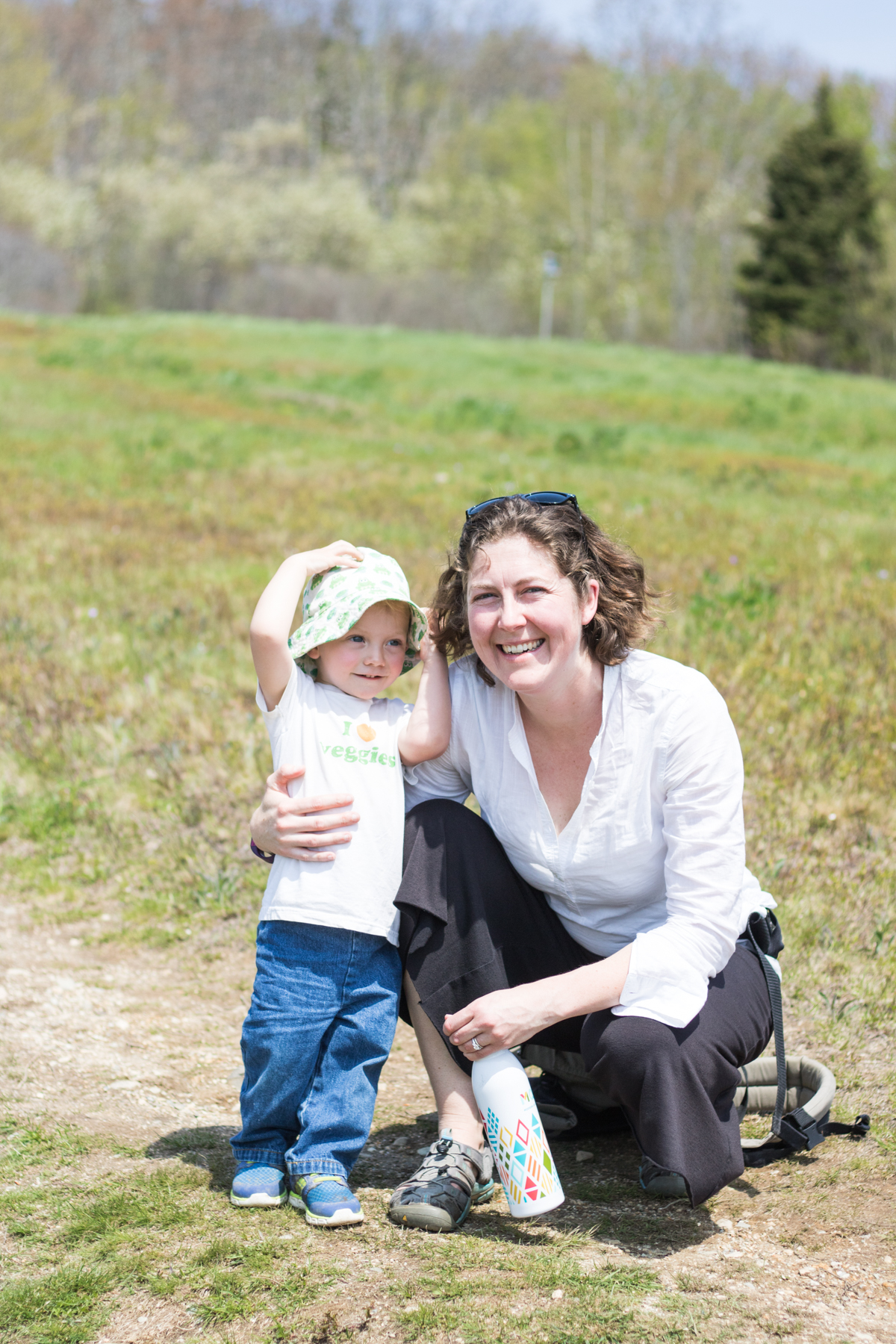 blue hill mountain summer adventure quilt