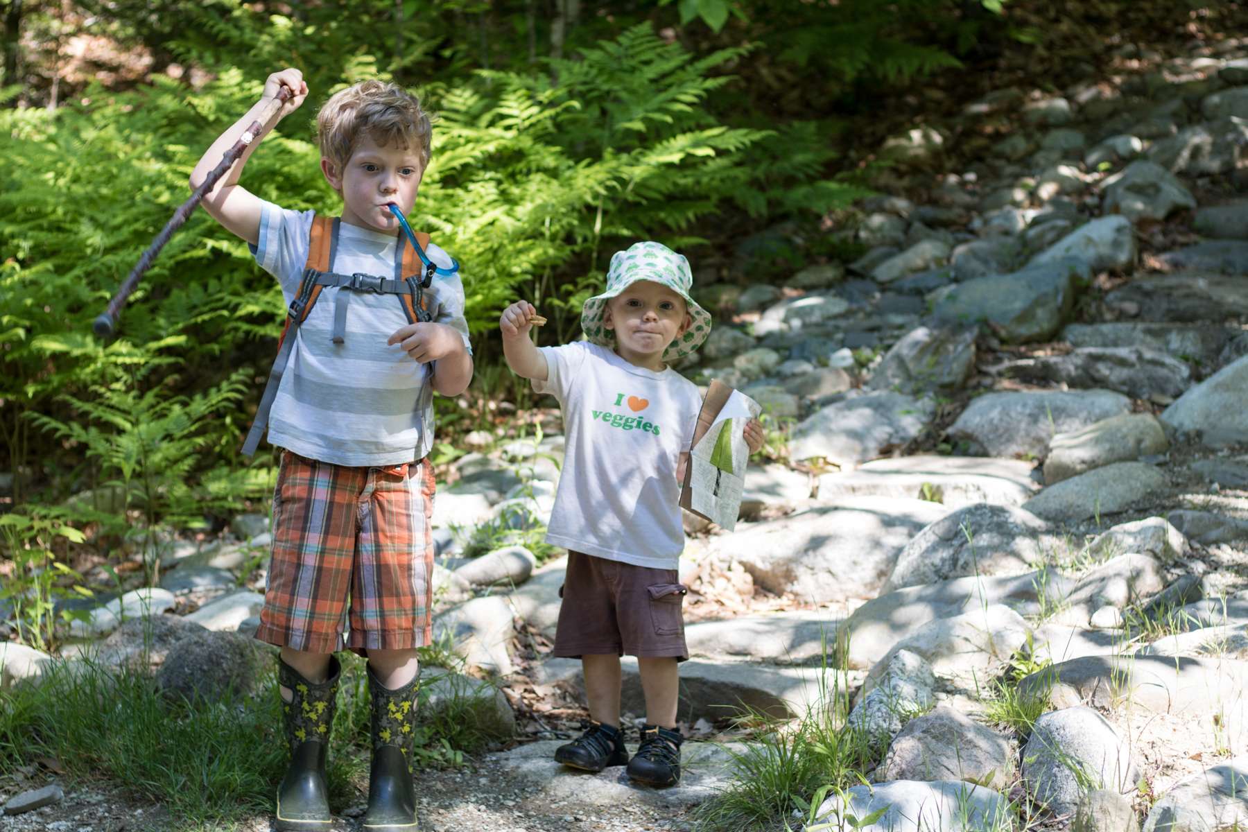 great pond mountain hike