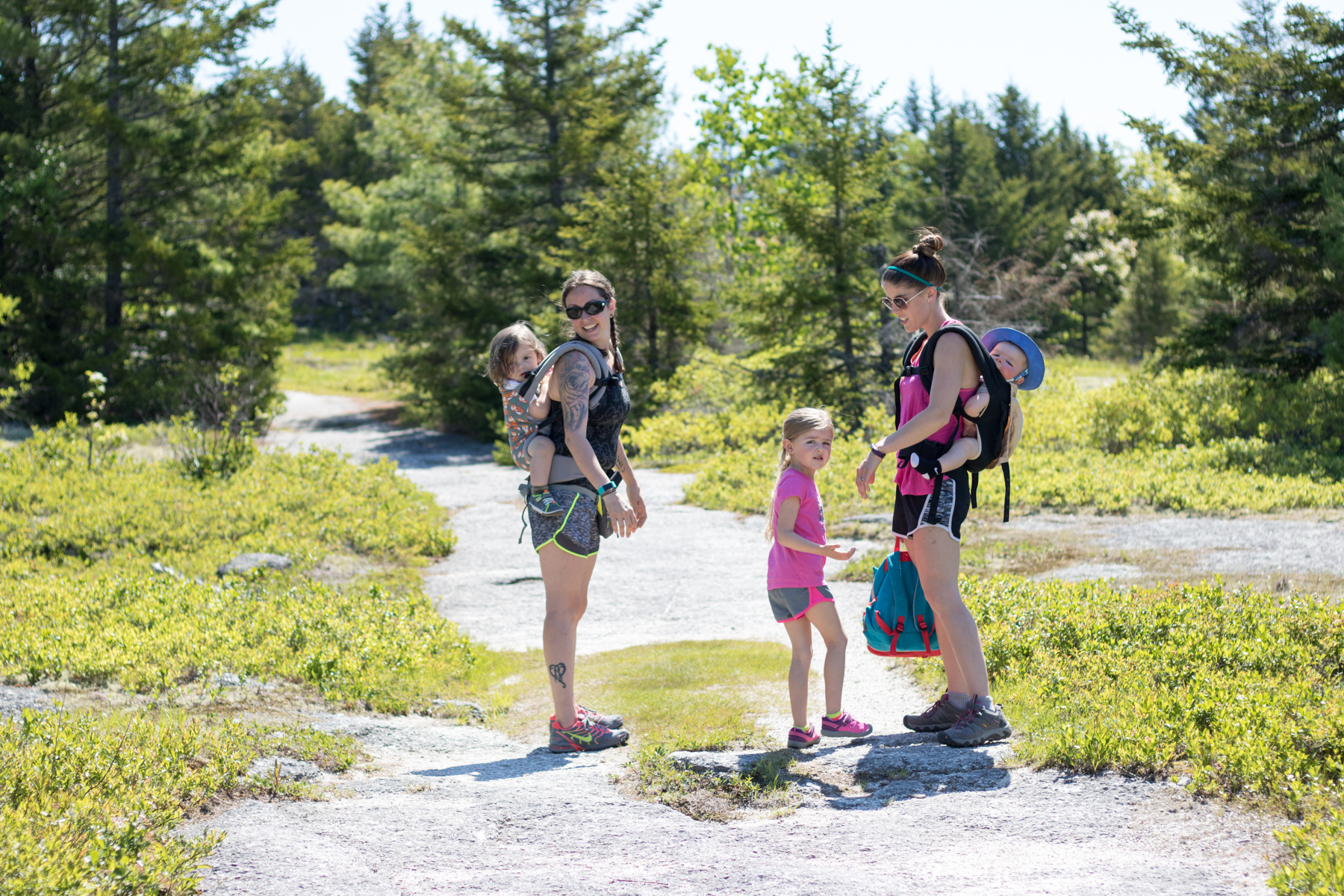 great pond mountain hike