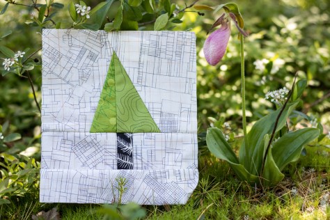 great pond mountain hike