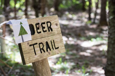 ecotat garden trails hermon maine