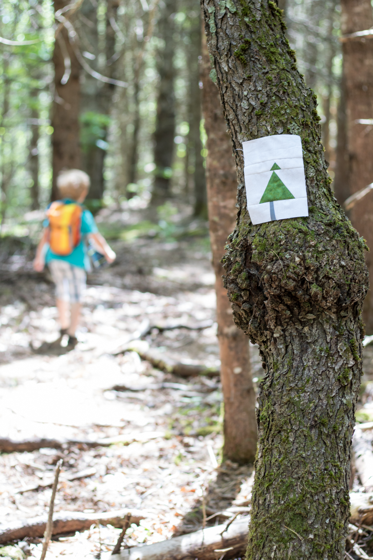 ecotat garden trails hermon maine