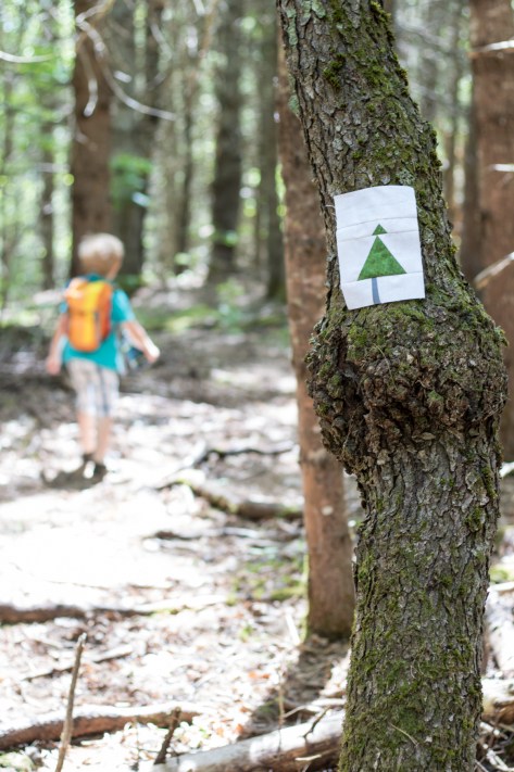 ecotat garden trails hermon maine