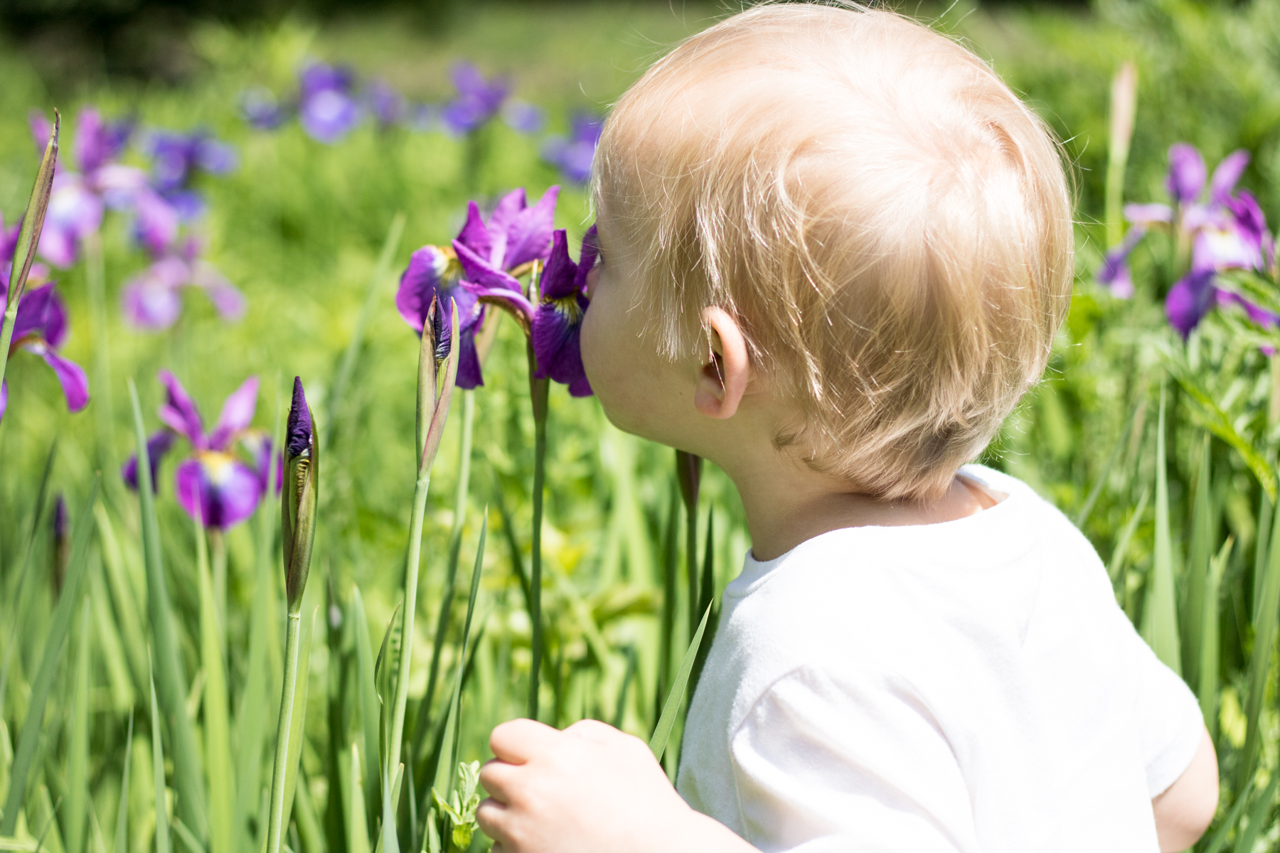 ecotat garden trails hermon maine