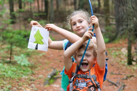 birdsacre trails ellsworth maine summer adventure quilt