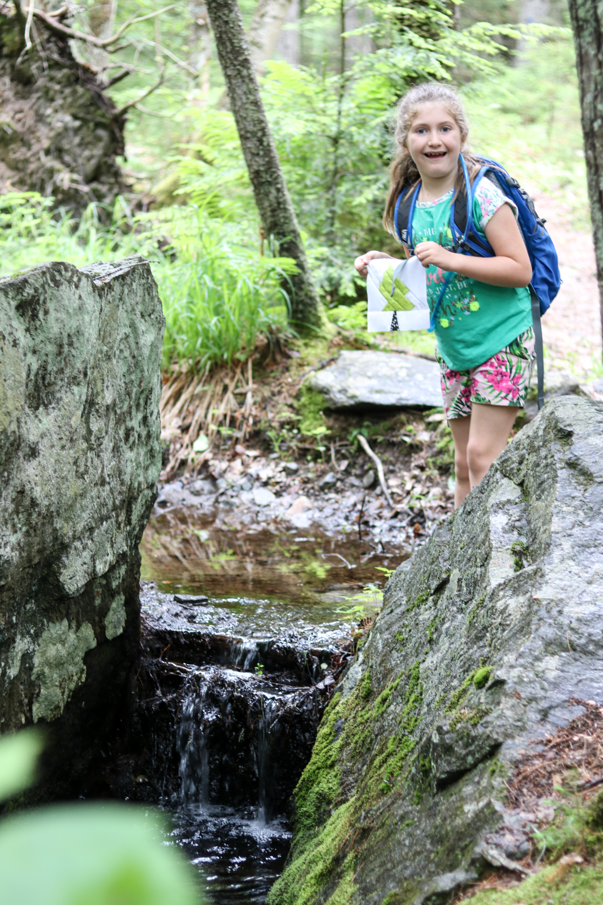 birdsacre trails ellsworth maine summer adventure quilt