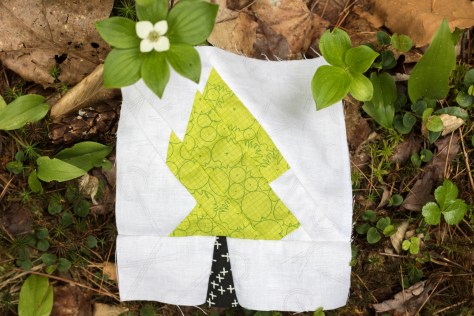 birdsacre trails ellsworth maine summer adventure quilt