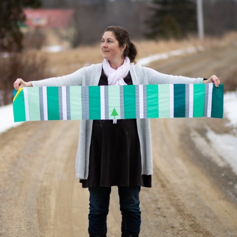 january my 2020 miles running quilt nightquilter